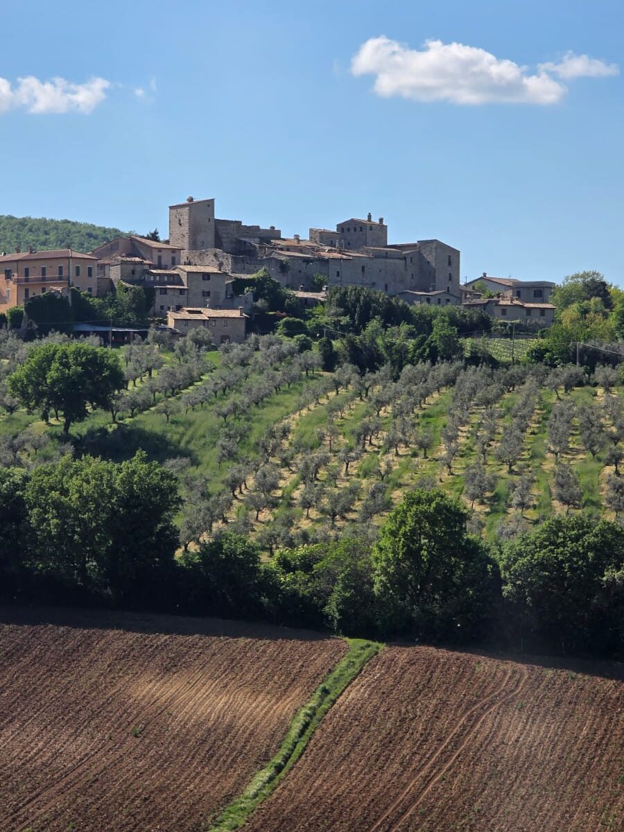 The city of Le Torri from Villa Torri